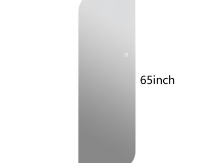 Irregular Shape LED Full Length Wall Mirror With 3 Color Dimmable Lighting - Silver