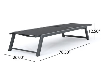Myers - Modern Chaise Lounge Set With Adjustable Back