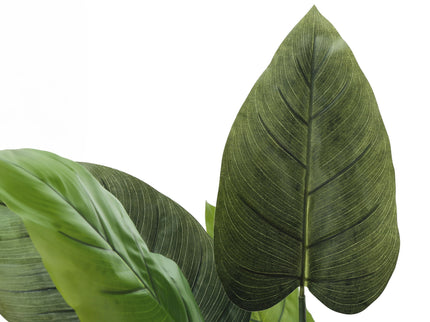 37" Tall, Artificial Plant, Aureum Tree, Indoor, Faux, Fake, Floor, Greenery, Potted, Real Touch, Decorative - Green / Black