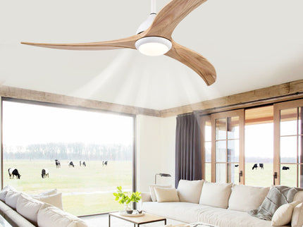 Indoor Outdoor Ceiling Fan With Light With Remote Control, Noiseless Reversible Motor, 6 Speed, 3 Color