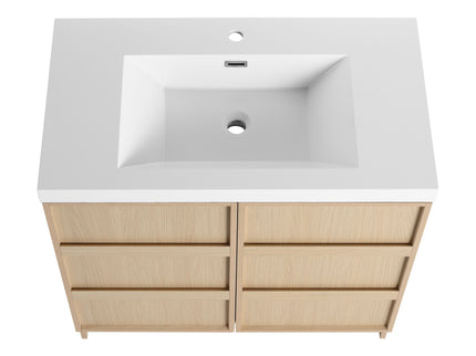 Freestanding Bathroom Vanity With Sink & 2 Soft Close Cabinet Doors