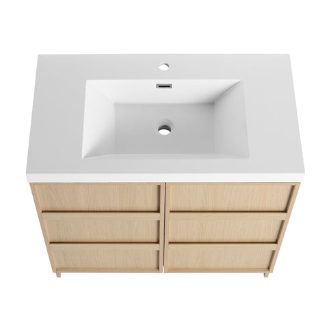 Freestanding Bathroom Vanity With Sink & 2 Soft Close Cabinet Doors