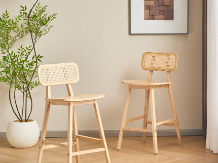 Bari - Indoor Wood Barstool (Set of 2)
