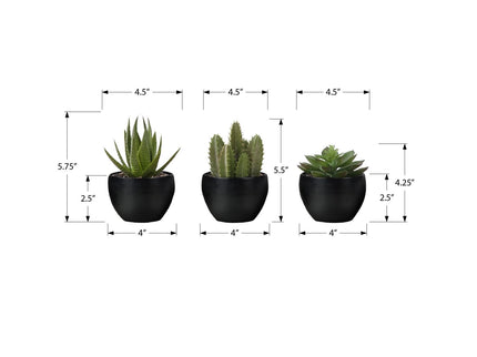 Artificial Succulent Plants (Set of 3)