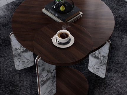 Coffee Table Set With Center Table & Side Table