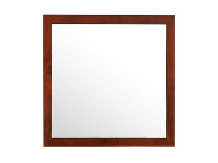 Burlington - Modern Design Transitional Wall Mirror