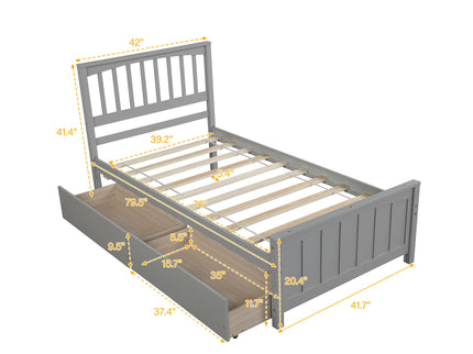Platform Bed With Two Drawers