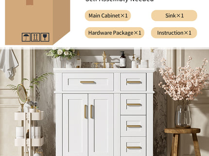 Modern Bathroom Vanity With Ceramic Sink, Soft Close Storage Cabinet