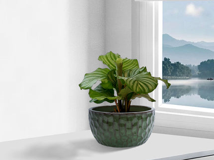 3 Pieces Ceramic Flowerpot