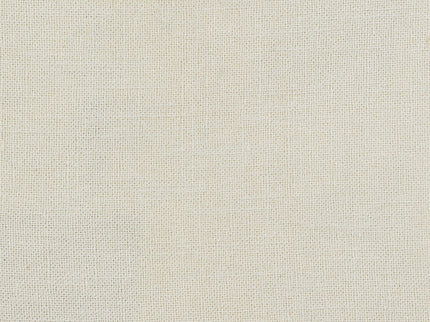 Upholstered Dining Chair With Rolled Edge Seat Back (Set of 2) - Beige