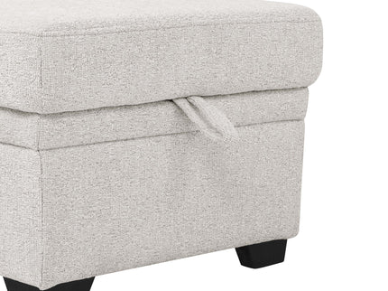 Upholstered Sectional & Pull Out Bed And Chaise Storage