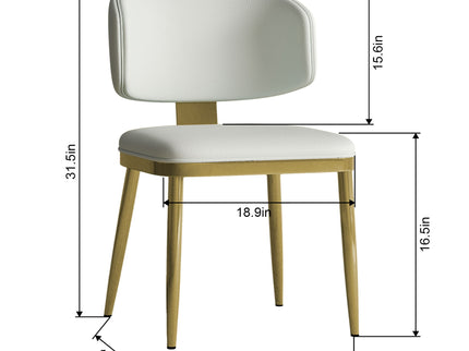 Modern Dining Chairs For Kitchen (Set of 2)