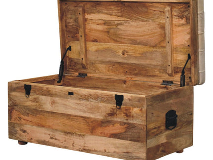 Buffalo - Storage Trunk