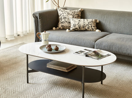 Contemporary Coffee Table Sintered Stone Surface With Ceramic Finish Double Layer Design Base Matte Shelf Modern Living Room Center Table - White / Gray