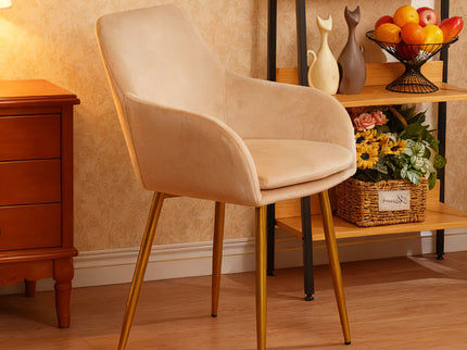 Dining Chair Set For Dining Rooms (Set of 2) - Beige