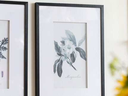 Botanical Wall Art Prints, Home Decor For Living Room Dining Room, Bedroom, Hallway (Set of 4) - White / Black