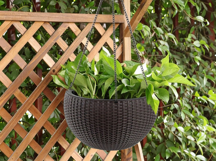 Self Watering Hanging Planter