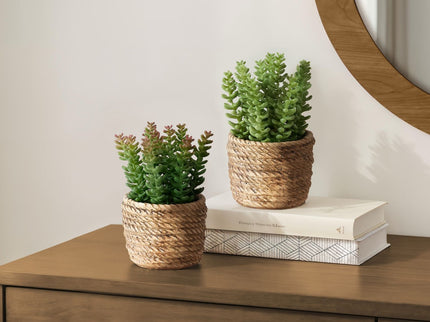 Artificial Succulent, Table Decor (Set of 2) - Green / Light Brown - Plastic