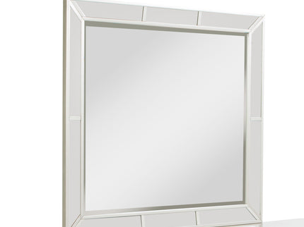 Elegant Contemporary Mirror