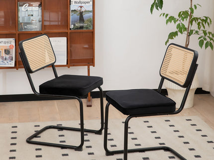 Rattan Side Accent Dining Chairs With Painted Legs (Set of 2)