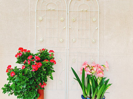 Metal Garden Trellis Rustproof Trellis For Climbing Plant Outdoor Flower Support