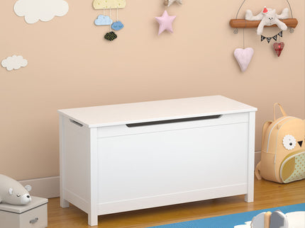 Toy Box Storage With Safety Hinged Lid