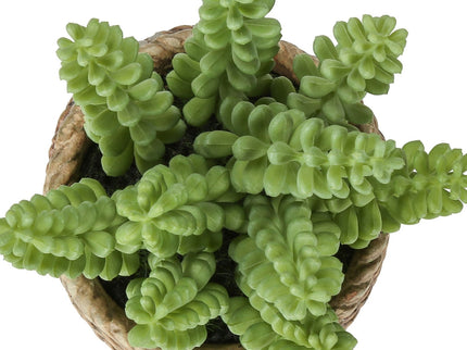 Artificial Succulent, Table Decor (Set of 2) - Green / Light Brown - Plastic