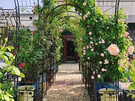 Metal Garden Arch With Two Plant Stands Wide High Climbing Plants Support Rose Arch Outdoor - Black