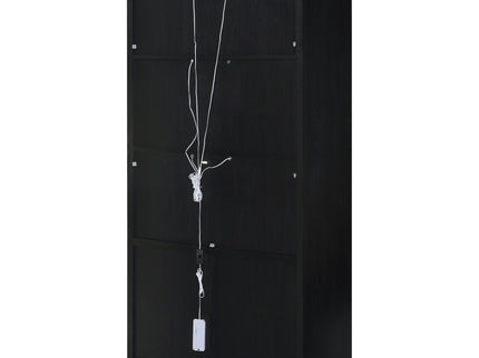 Shayne - 4 Door Display Cabinet With LED Lighting - Black