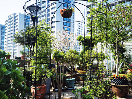 Metal Garden Arch Iron Garden Arbors Gazebo Dia High Birdcage Shape Pergola Pavilion For Wedding Ceremony