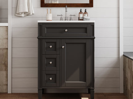 Bathroom Vanity With Top Sink, Storage Cabinet With 2 Drawers And Tip-Out Drawer
