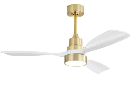Indoor Ceiling Fan With Dimmable LED Light, 6 Speed Remote ControlLED DC Motor, Reversible Blades