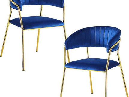 Accent Armchair For Home (Set of 2) - Blue