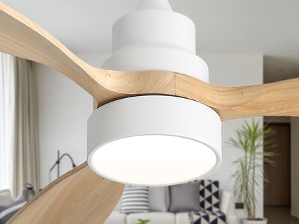 48" Ceiling Fan With Light, Dual Mount (Flush / Downrod), Dimmable LED, Quiet DC Motor, 3 Blades
