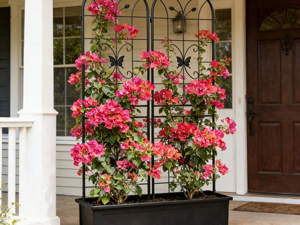 Garden Metal Trellis Rustproof Trellis For Climbing Plants Outdoor Flower Support