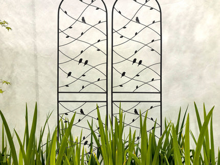 Garden Rustproof Trellis For Climbing Plants