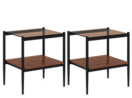 Modern Rectangle End Table (Set of 2) With Tempered Glass Tabletop And Layer - Brown