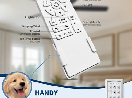 Mordern Flush Mount Ceiling Fan With Light And Remote Control