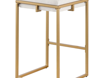 Square Counter Height Stools (Set of 2) - Beige / Gold