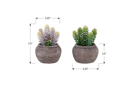 Artificial Succulent, Table Decor (Set of 2) - Green / Brown