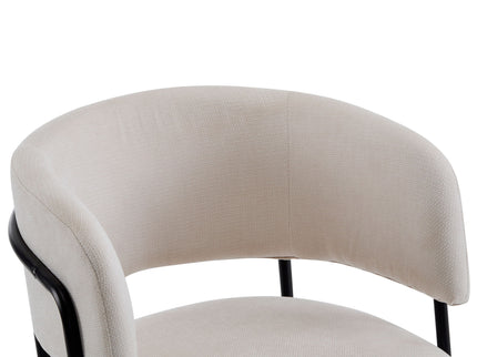 Modern Upholstered Arm Dining Chair Set