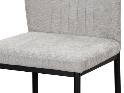 Leander - Side Chair (Set of 2) - Gray