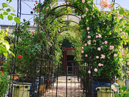 Metal Garden Arch With Gate Wide High Climbing Plants Support Rose Arch Outdoor - Black