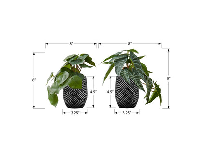 Artificial Alocasia Plant (Set of 2)