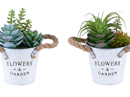 Artificial Succulent, Table Decor (Set of 2) - Green / White