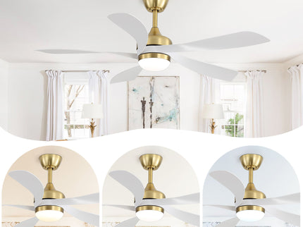 52" Indoor Ceiling Fan With 3 Color Dimmable LED Light Blades, Reversible DC Motor, Remote Control