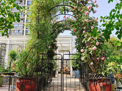 Metal Garden Arch With Gate High Climbing Plants Support Rose Arch Outdoor - Black