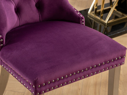 Nikki - Contemporary Upholstered Dining Chair (Set of 2)