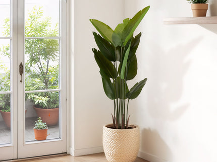 Artificial Plant For Indoor And Outdoor Decoration (Set of 2)
