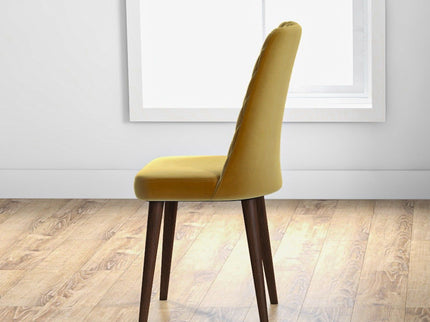 Katie - Mid-Century Modern Dining Chair (Set of 2)